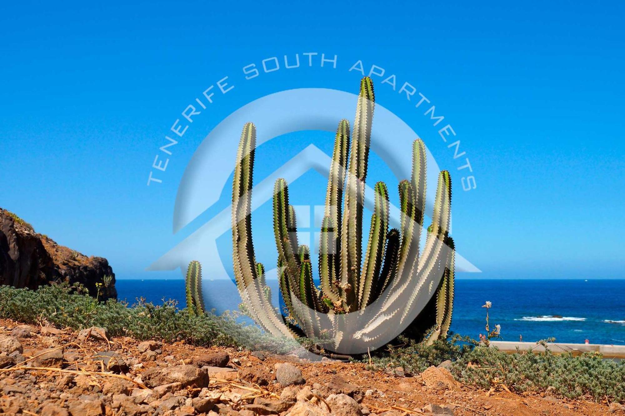 My Sea View Apartment Costa Adeje  Exterior foto